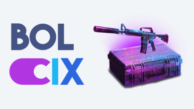 CSGO Skin Changer: Bolcix 2022 (Silah + Bıçak)